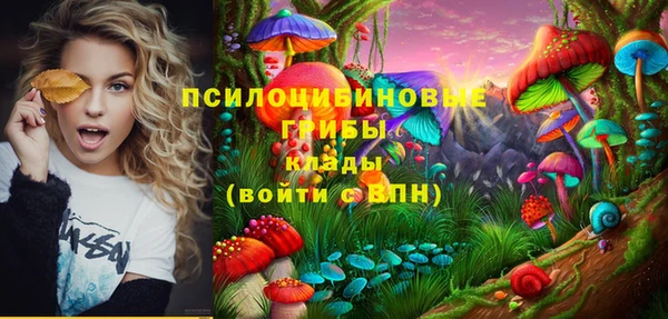 ПСИЛОЦИБИНОВЫЕ ГРИБЫ Киреевск