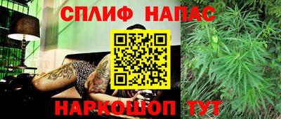 мяу мяу мука Кандалакша
