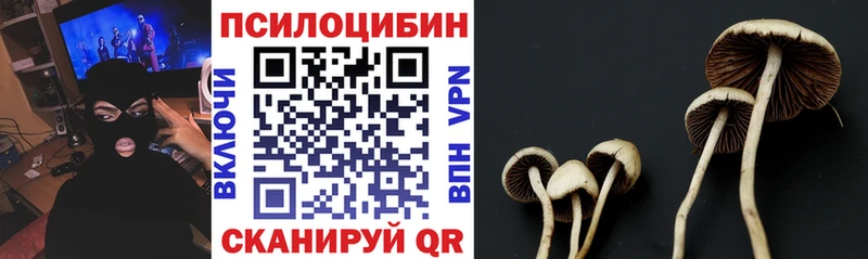 купить   Луга  Галлюциногенные грибы мухоморы 