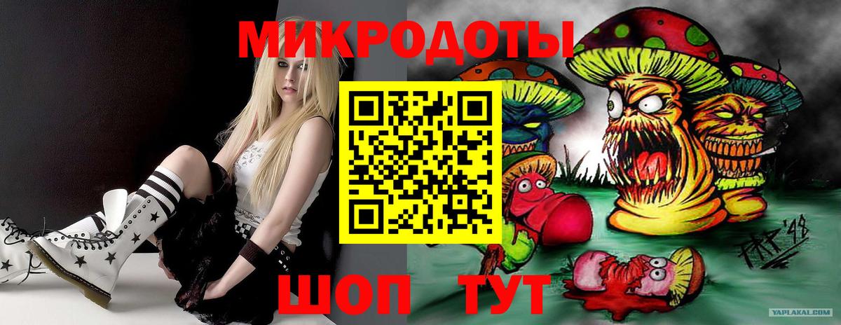 Галлюциногенные грибы прущие грибы Луга