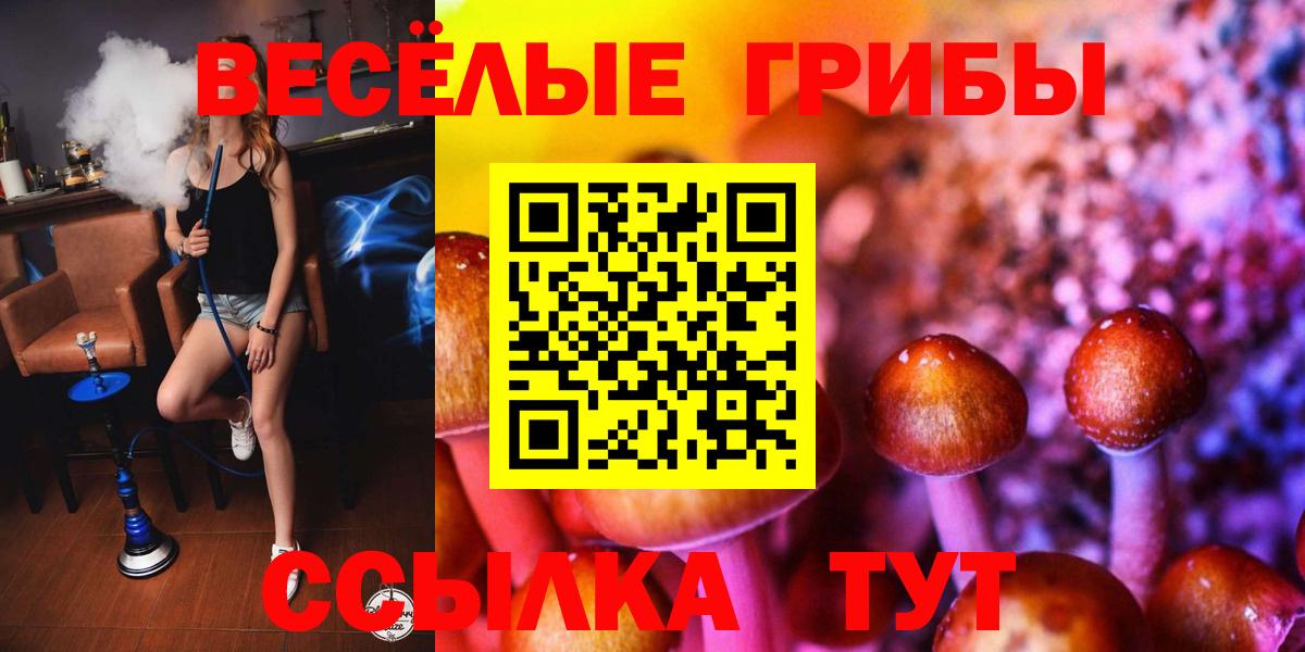 где продают   Псилоцибиновые грибы Psilocybe  Вход с VPN  Луга 
